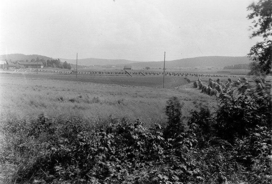 1927